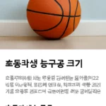 초등학생 농구공 크기